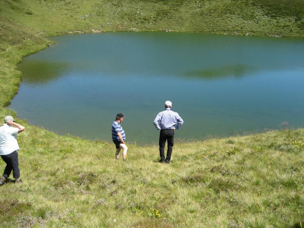 Pension Danler Telfes im Stubai Ngoại thất bức ảnh
